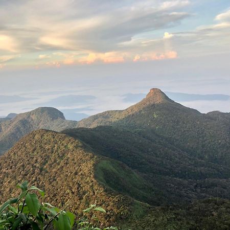 Hotel Mango Tree Nearest Adam'S Peak Nallathanniya Exterior photo