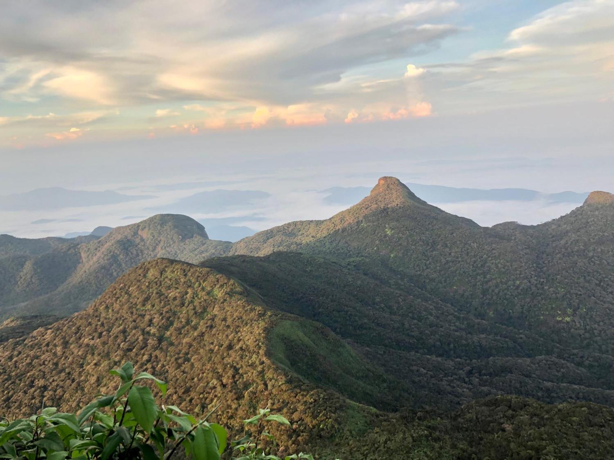 Hotel Mango Tree Nearest Adam'S Peak Nallathanniya Exterior photo