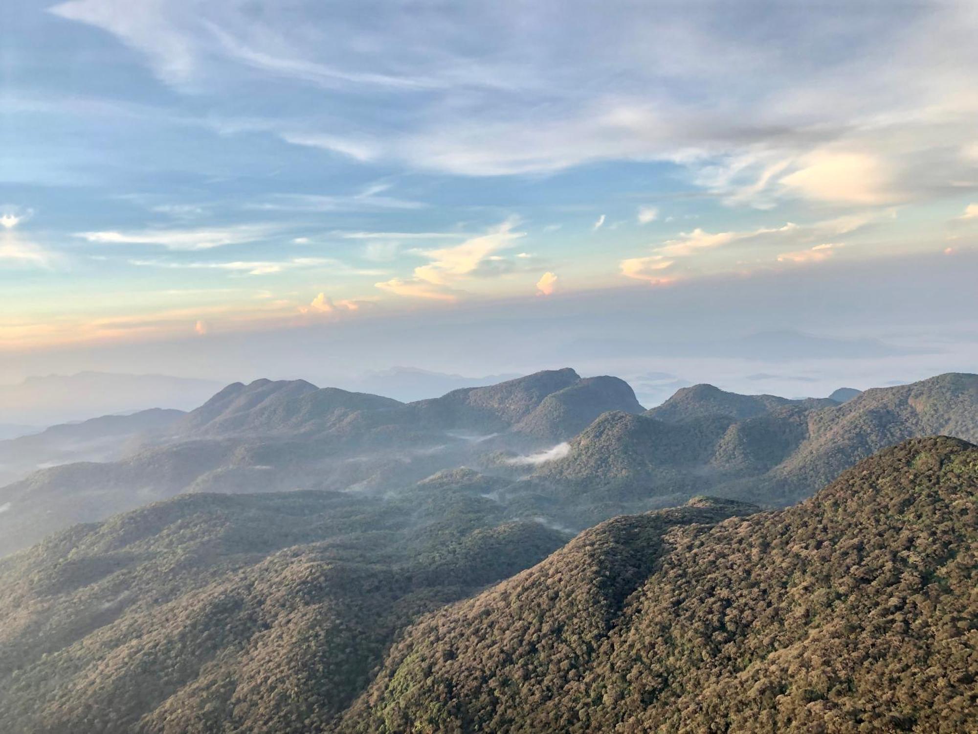 Hotel Mango Tree Nearest Adam'S Peak Nallathanniya Exterior photo