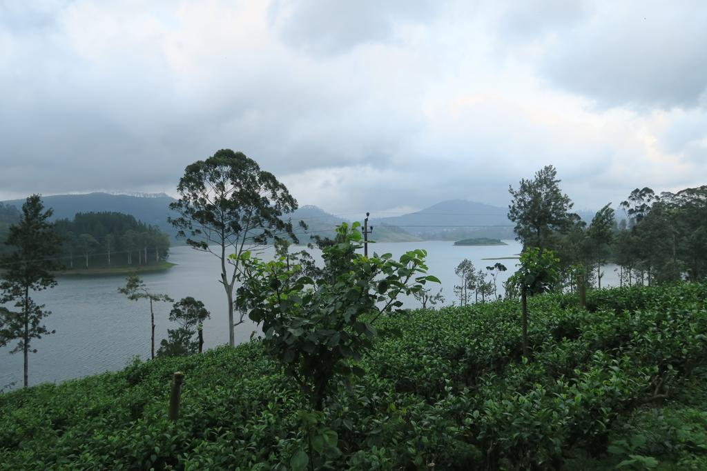 Hotel Mango Tree Nearest Adam'S Peak Nallathanniya Exterior photo