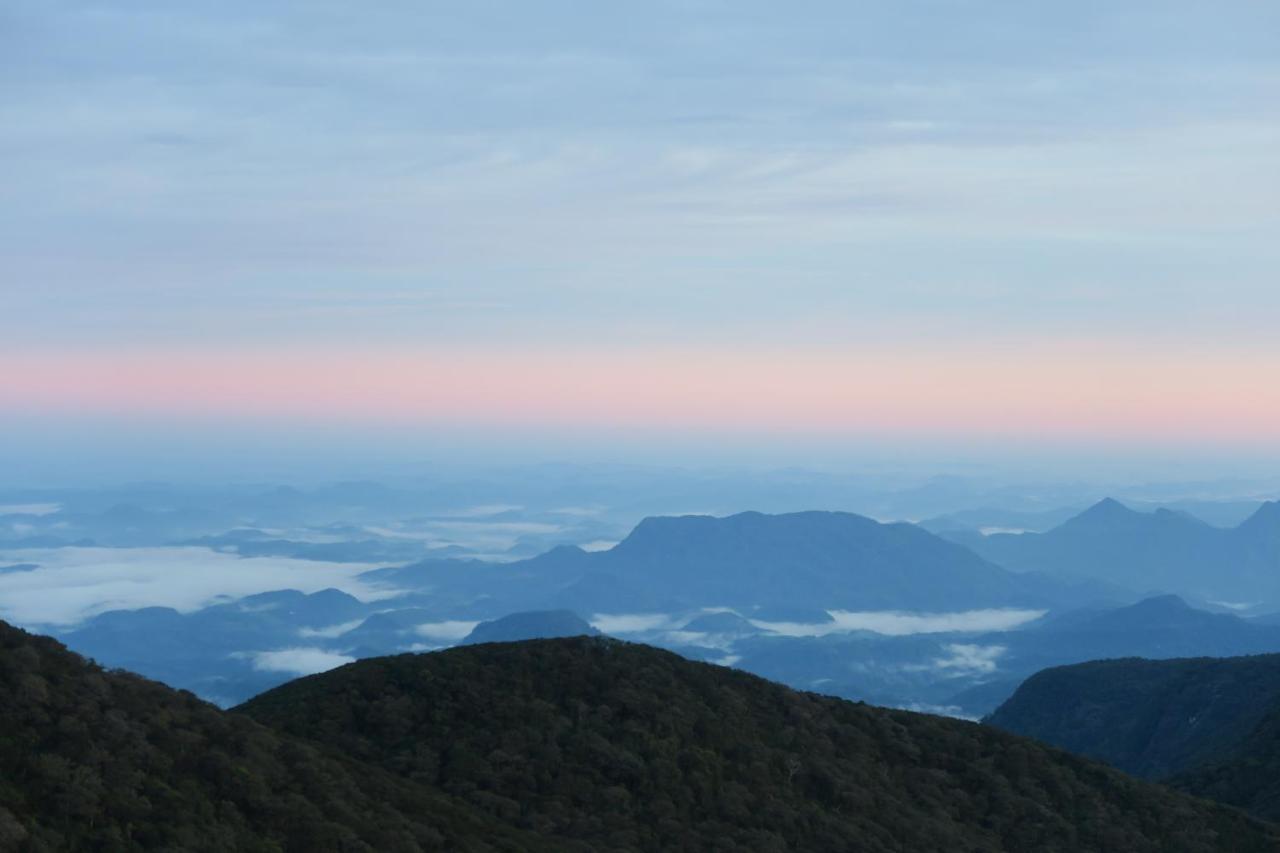 Hotel Mango Tree Nearest Adam'S Peak Nallathanniya Exterior photo